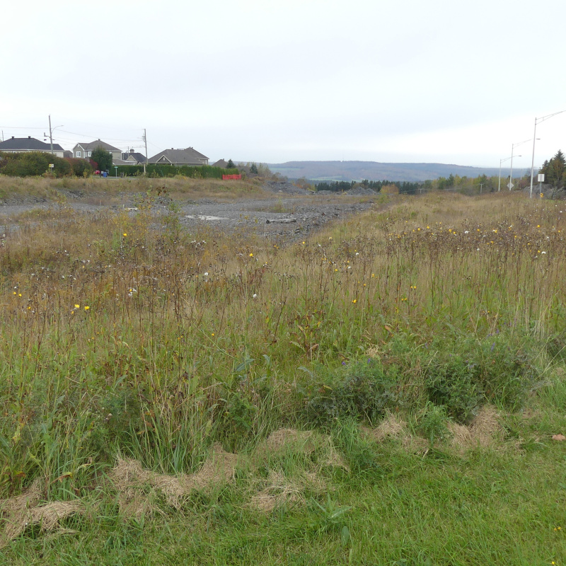 Gestion Robert Bernard inc. prévoit aménager sur ce terrain 6 habitations multifamiliales de 12 logements chacun.