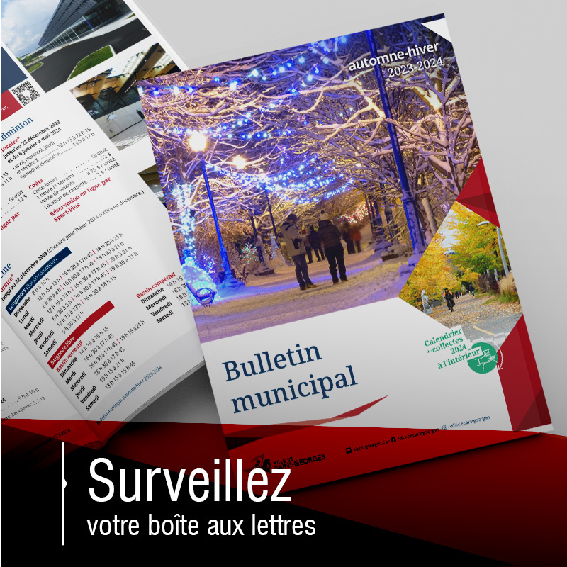 Le Bulletin municipal arrive !